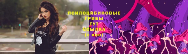 Альфа ПВП Лабытнанги