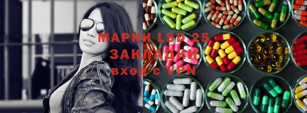 дживик Лагань