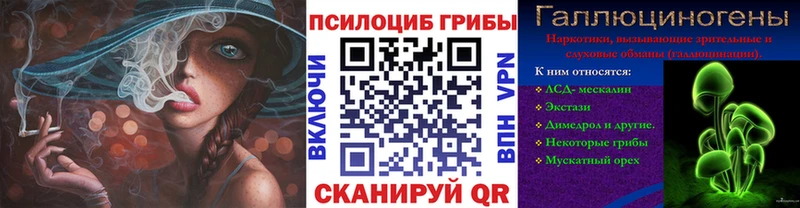 кракен зеркало Называевск Псилоцибиновые грибы мицелий наркота